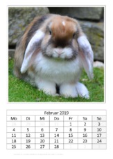 Februar_Kaninchen_1.pdf